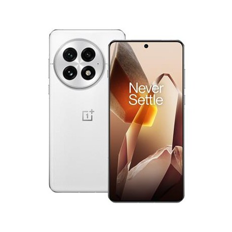OnePlus 13 5G 16GB/512GB Arctic Dawn